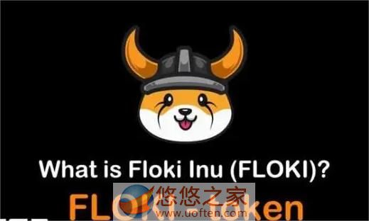 FLOKI币为什么这么火爆-FLOKI币值不值得投资